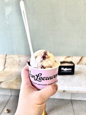 Van Leeuwen Ice Cream