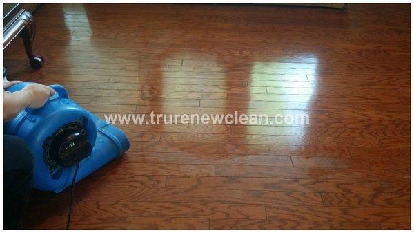 wood floor renewal