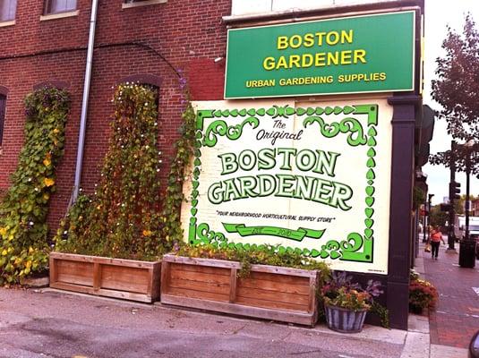 The Boston Gardener in the heart of Dudley Square.