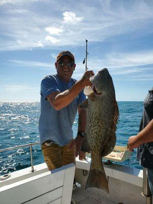 Grouper on fall and winter