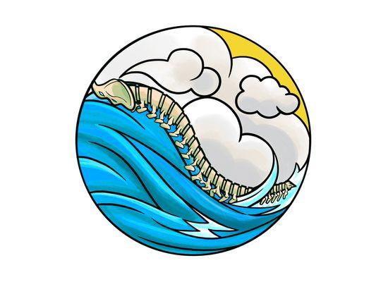 Ke'ale Chiropractic - The Crest of the Wave