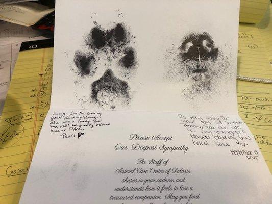 Tone Deaf. They took a nose print of my dead puppy. WTF???