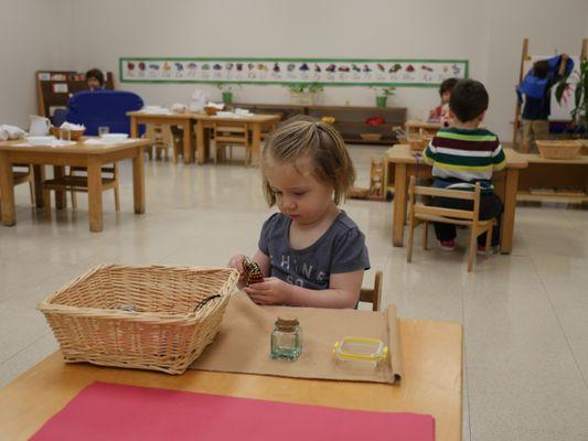 Toddler classroom