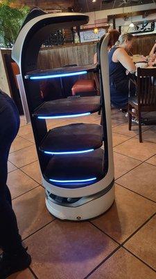 Their new electronic waiter. It carried to food to a large group at once.