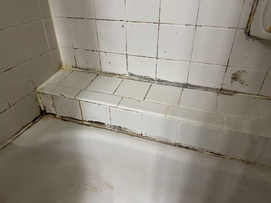 Mold in the bathroom