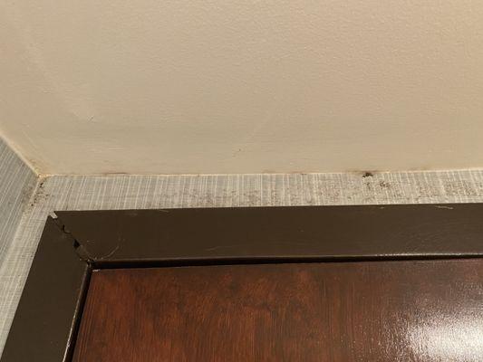 Mold in bathroom