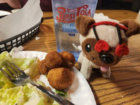 The fried mushrooms are a MUST try... so good!