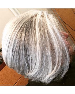 Silver fox bob