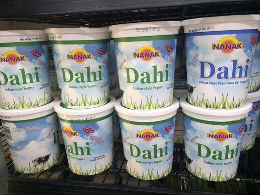 They have Dahi Indian yogurt!