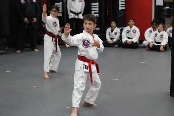 Allstar Martial Arts Academy