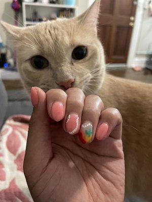 Sns dip powder with gel design. Cat not included