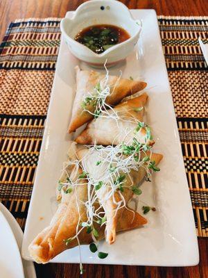 A1. Burmese Samosa