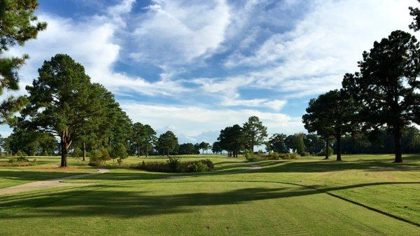 Links at Mulberry Hill  Hole #9