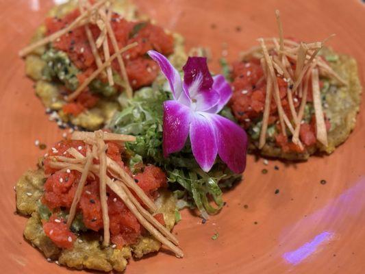 Tuna Tostones