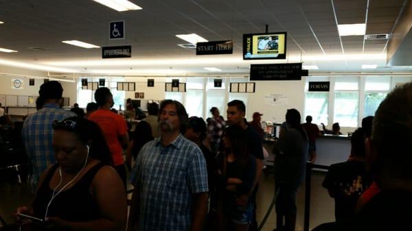 happily standing in line to find out which line they will have to stand and wait in next; it's so refreshing to see all the happy faces.