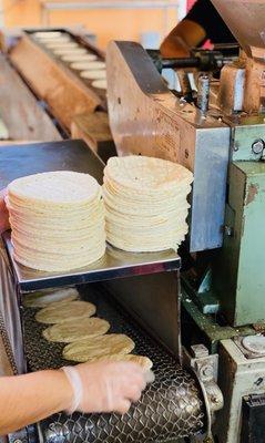 Tortillas de maíz, siempre calientitas..como en México!