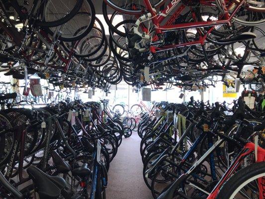 International Bicycle Shop