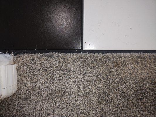 Black grout at one of our thresholds.  It's at both thresholds unfortunately.