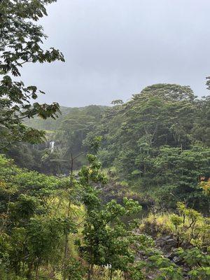 It's raining- so we can't hike out to the falls.