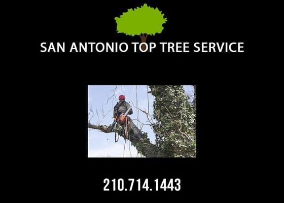 Residential Tree Trimming