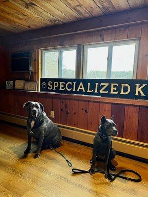 Specialized K9 Training