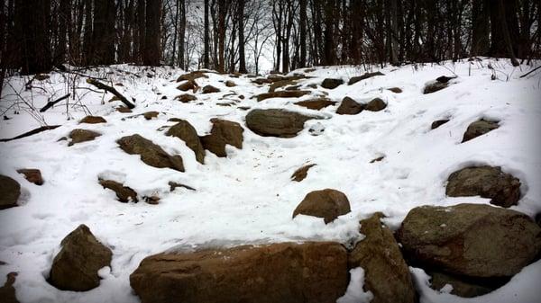 Like I said, it can get a little steep on the Annapolis Rock Trail.