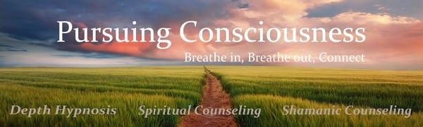 Pursuing Consciousness