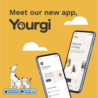 We've unleashed our new app, Yourgi - Filled with features that will make your tail wag! Learn more at www.mybunknbiscuit.com/yourgi