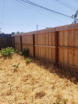 Cedar Fence with overlapping pickets to cover the gaps.