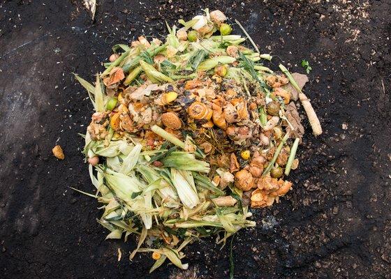 Food scraps! What we specialize in hauling and composting.