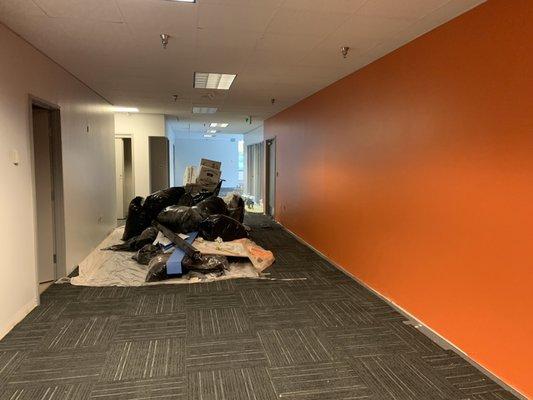 Office Cleanup in downtown Redmond