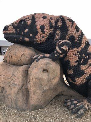 Gila monster slide