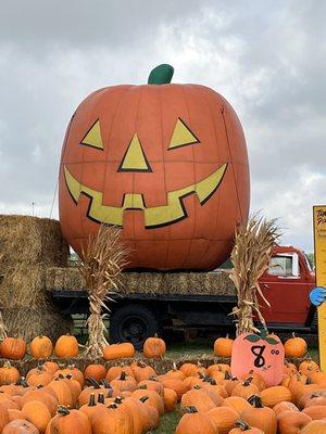 Trabbic Pumpkin Farm