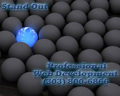 Professional Web Development