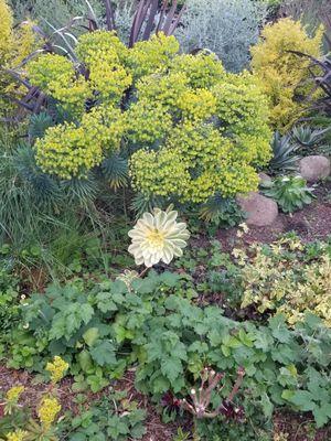 Small garden area on the side