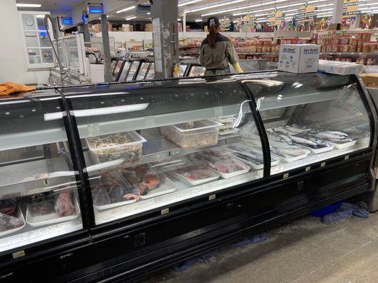 Fish counter 2