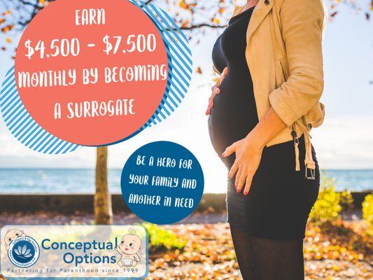 Become a surrogate and help your family!  Conceptual Options, LLC