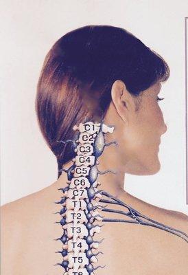 Dr. Long heals nerve networks in the neck & shoulder.