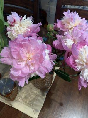 Beautiful peonies