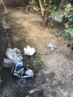 Trash landscaper pulled out of his car and left it hidden next to the guest parking where he was parked cleaning his car instead of working