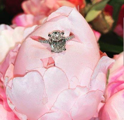 2.60ct Oval diamond engagement ring in a Micro pave diamond platinum setting