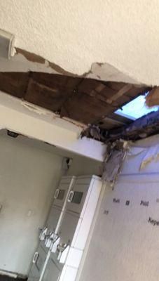 Inside of laundry room (ceiling missing)