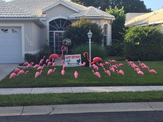 Flocked!