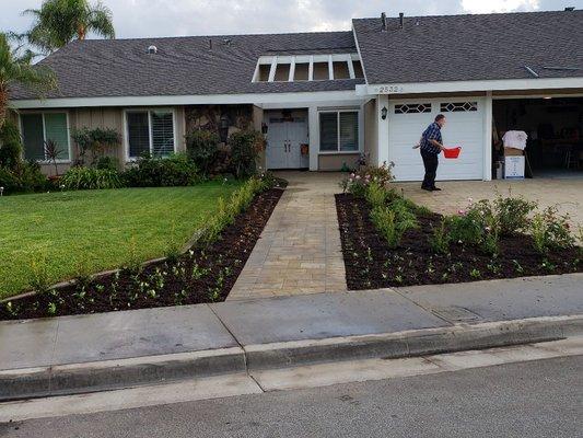 all finished boxwoods, begonias, star jasmine, and rose bushes and mulch are in