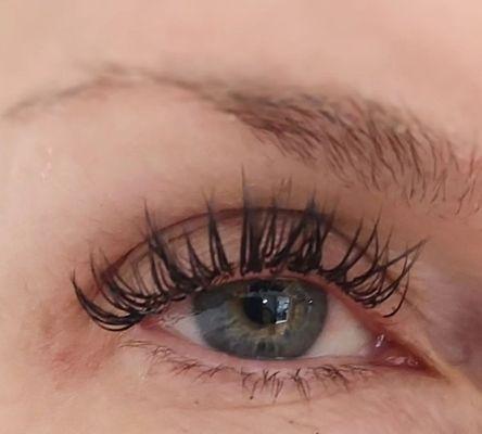 2D Lashes