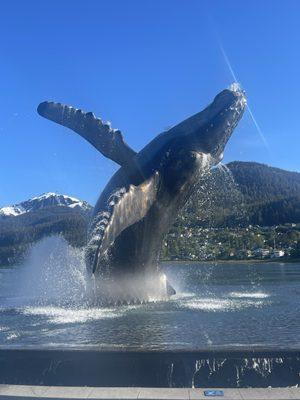 Explore Juneau