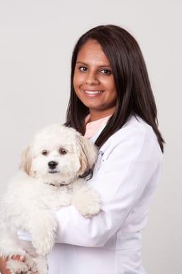 Great Lakes Animal Hospital