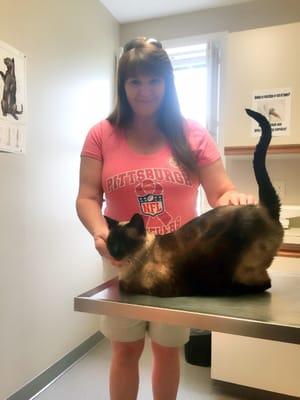 My Miles was so content, just look at that tail! Thank you Allentown Clinic for Cats  He is feeling much better now and so am I...