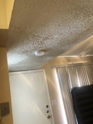 Water damage