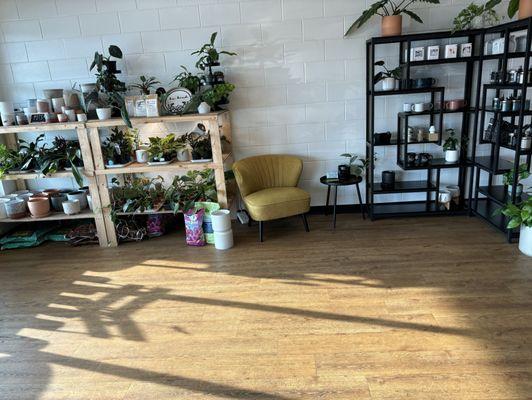 House plants for sale to the left, coffee-focused fix-ins to the right